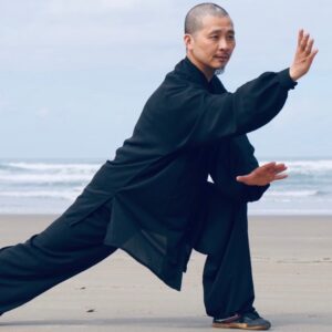 Yang Tai Chi with Chen Jian Feng