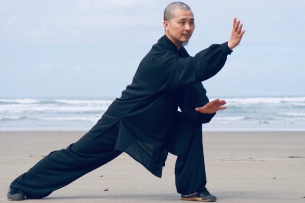 Yang Tai Chi with Chen Jian Feng