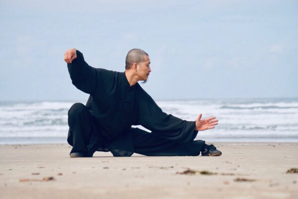 Yang Tai Chi with Chen Jian Feng - Image 2
