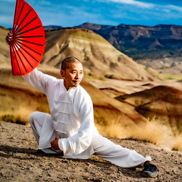 Yang Tai Chi with Chen Jian Feng - Image 3