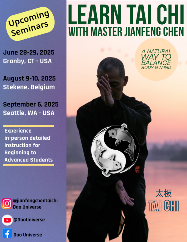 Yang Tai Chi with Chen Jian Feng - Image 6
